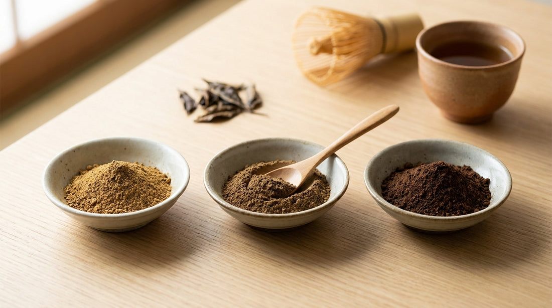 Houjicha Powder Buying Guide: Roast Levels and Grade Differences