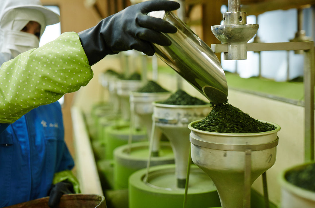 one of the facilities Rya uses to source its matcha. 