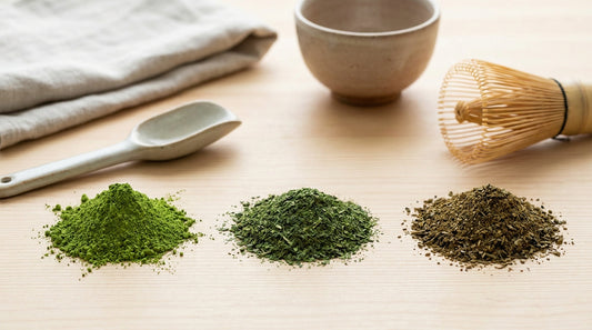 Powdered Green Tea Buyer's Guide: Matcha, Sencha Powder, and Hojicha Compared