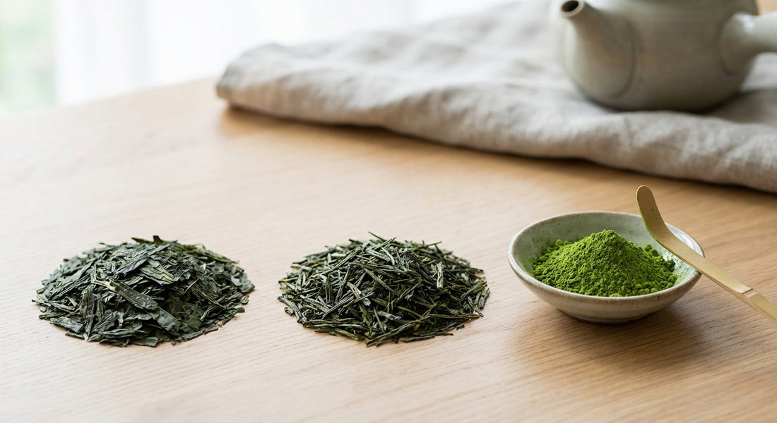 Matcha Leaves vs Regular Tea Leaves: What Is Tencha?