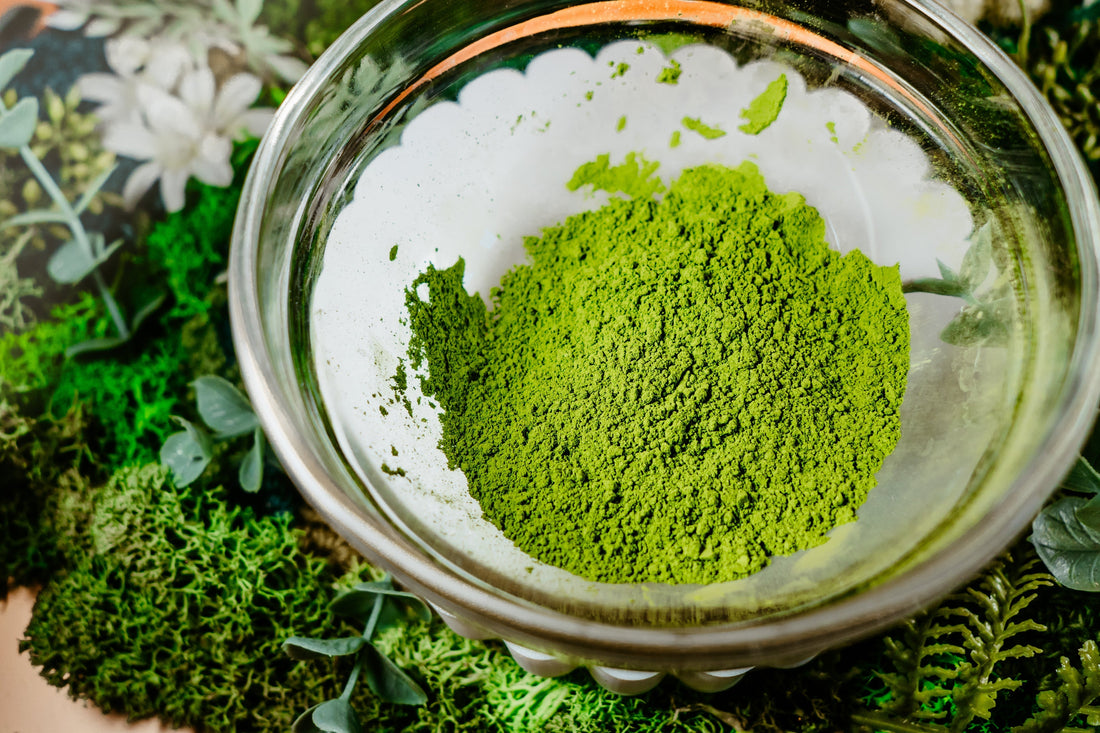 Rya's Ceremonial Matcha in a bowl, ready to be whisked into some hot water. 
