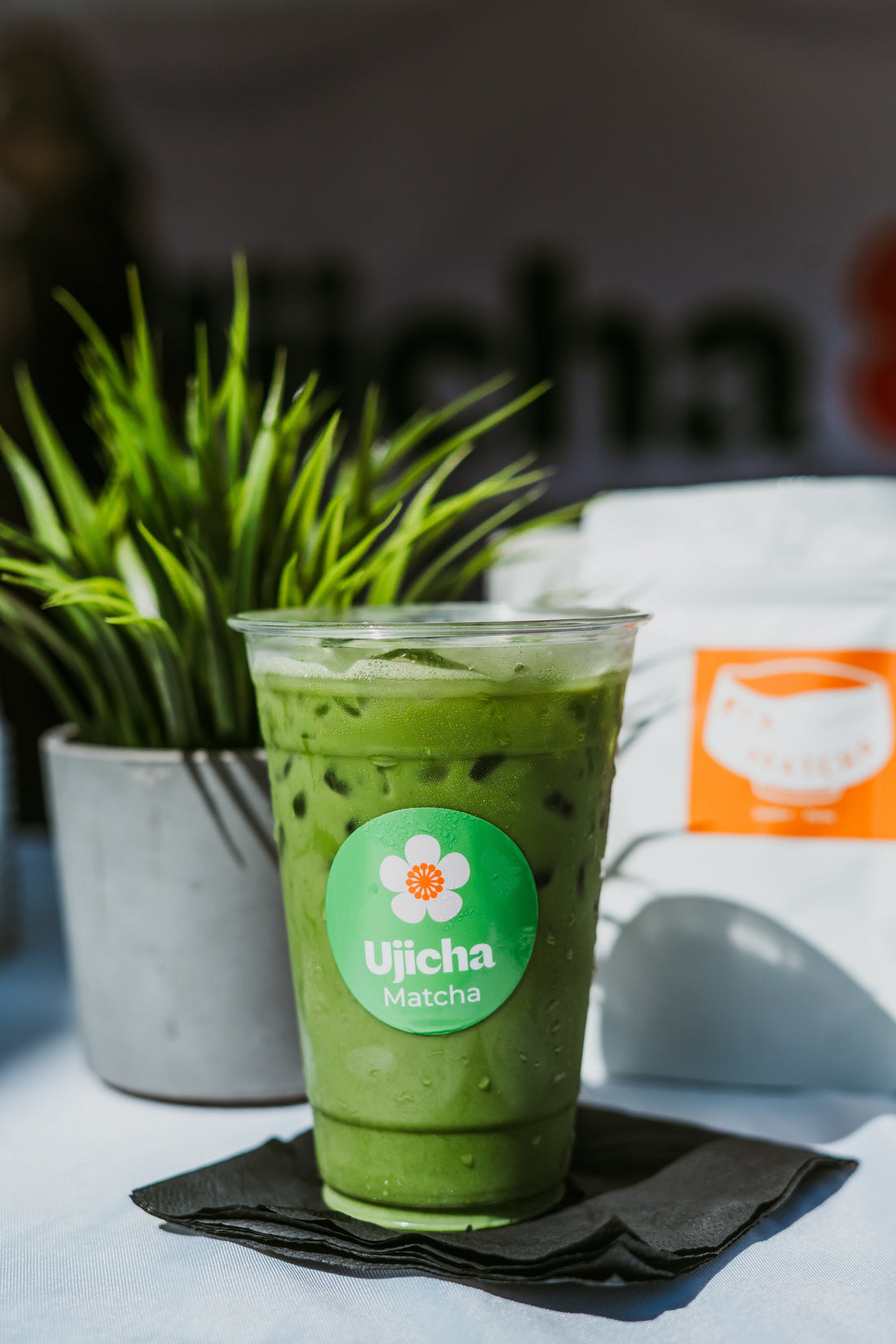 A Ujicha matcha latte lit by the morning sun