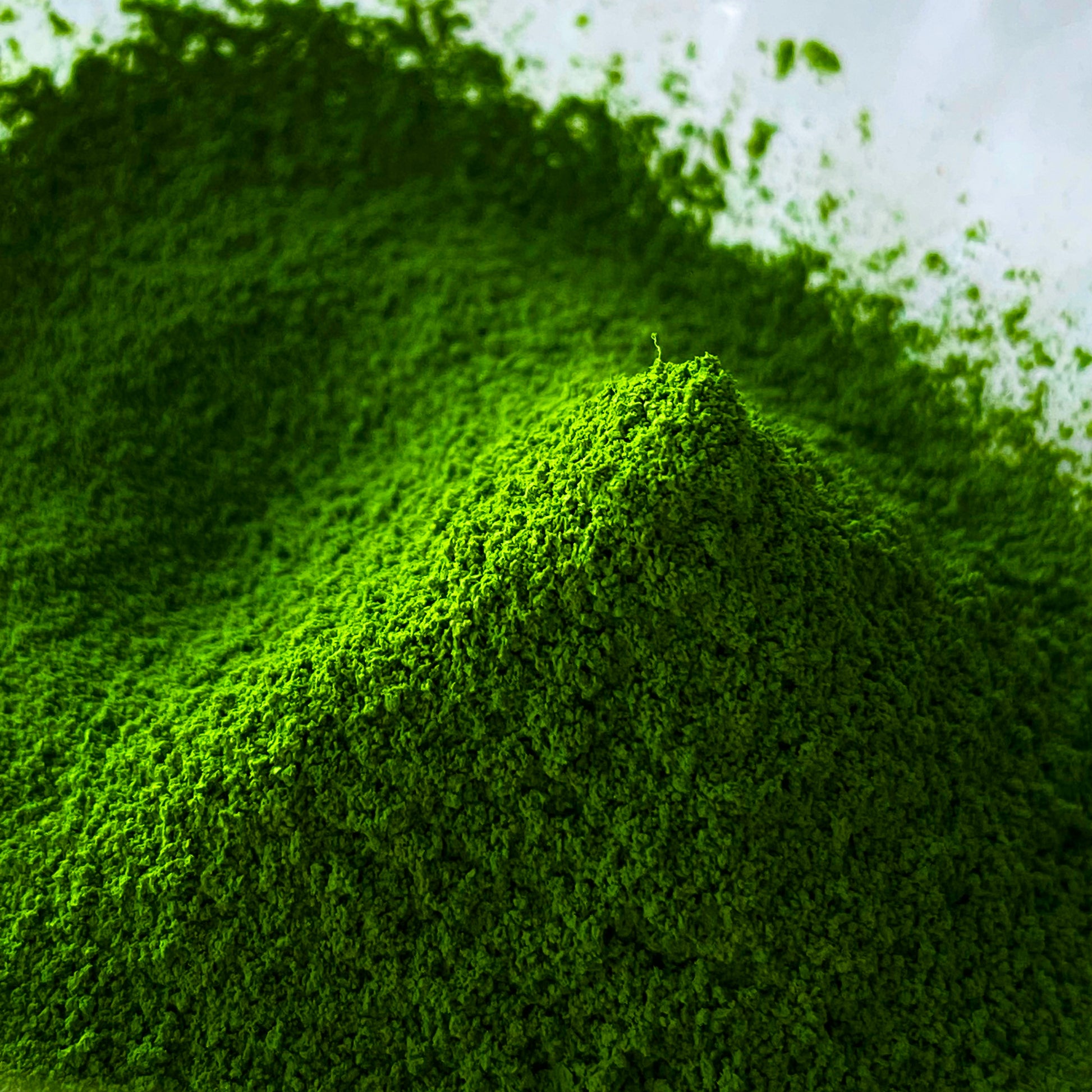 A luscious pile of Yomo no Kaori matcha powder.